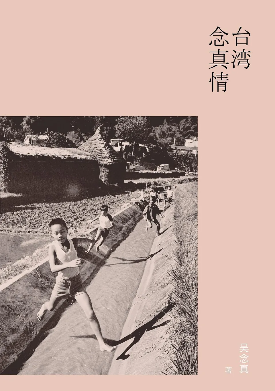 《台湾念真情》封面