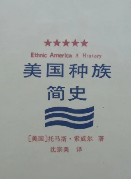 《美国种族简史》封面